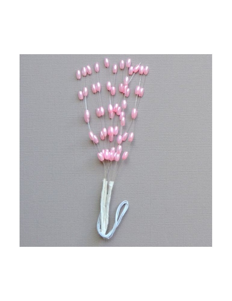Branches de perles roses