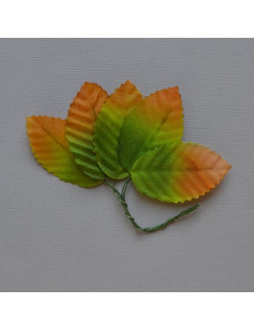 Lot de 5 feuilles marron et verte 