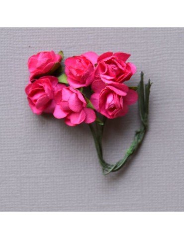 6 minis roses fushia