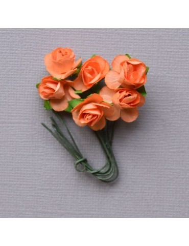 6 minis roses orange