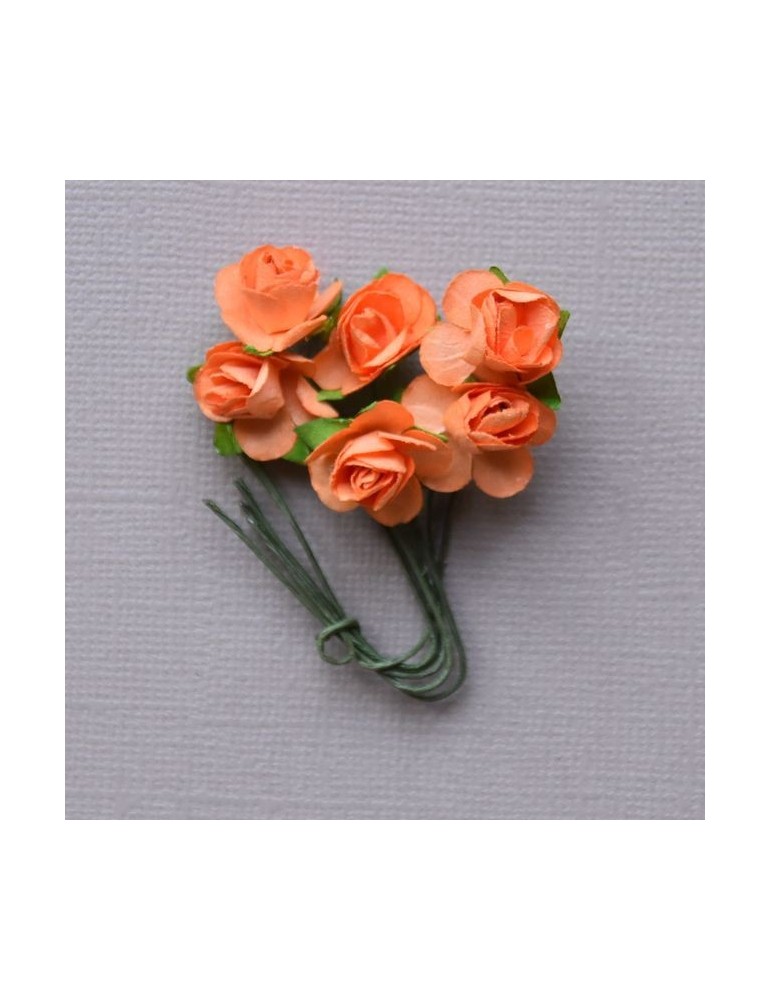 6 minis roses orange