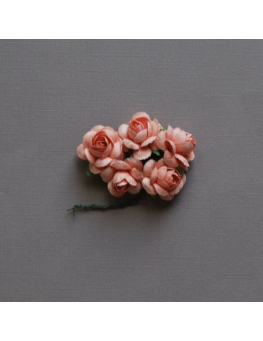 5 grosses roses saumon 