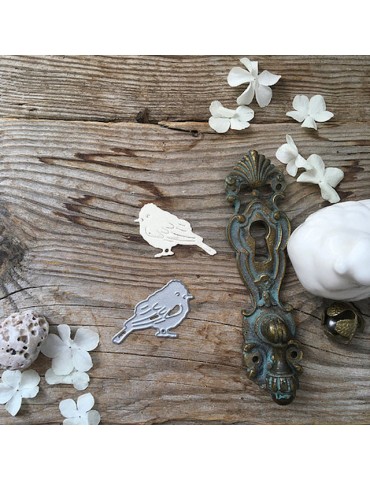 Dies petit oiseau