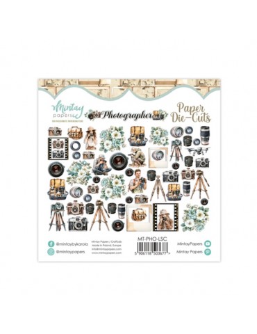 Lot de die cuts Mintay...