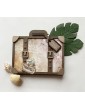 Mini album valise