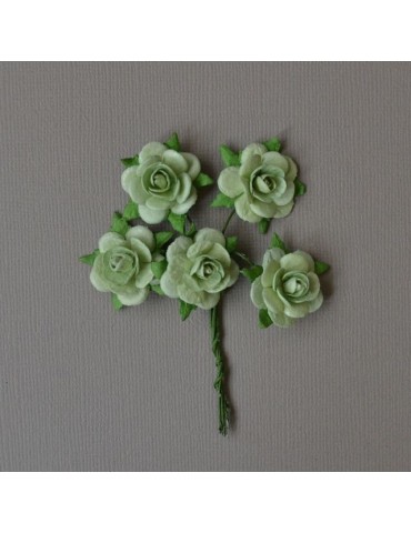 Bouquet de 5 roses vertes